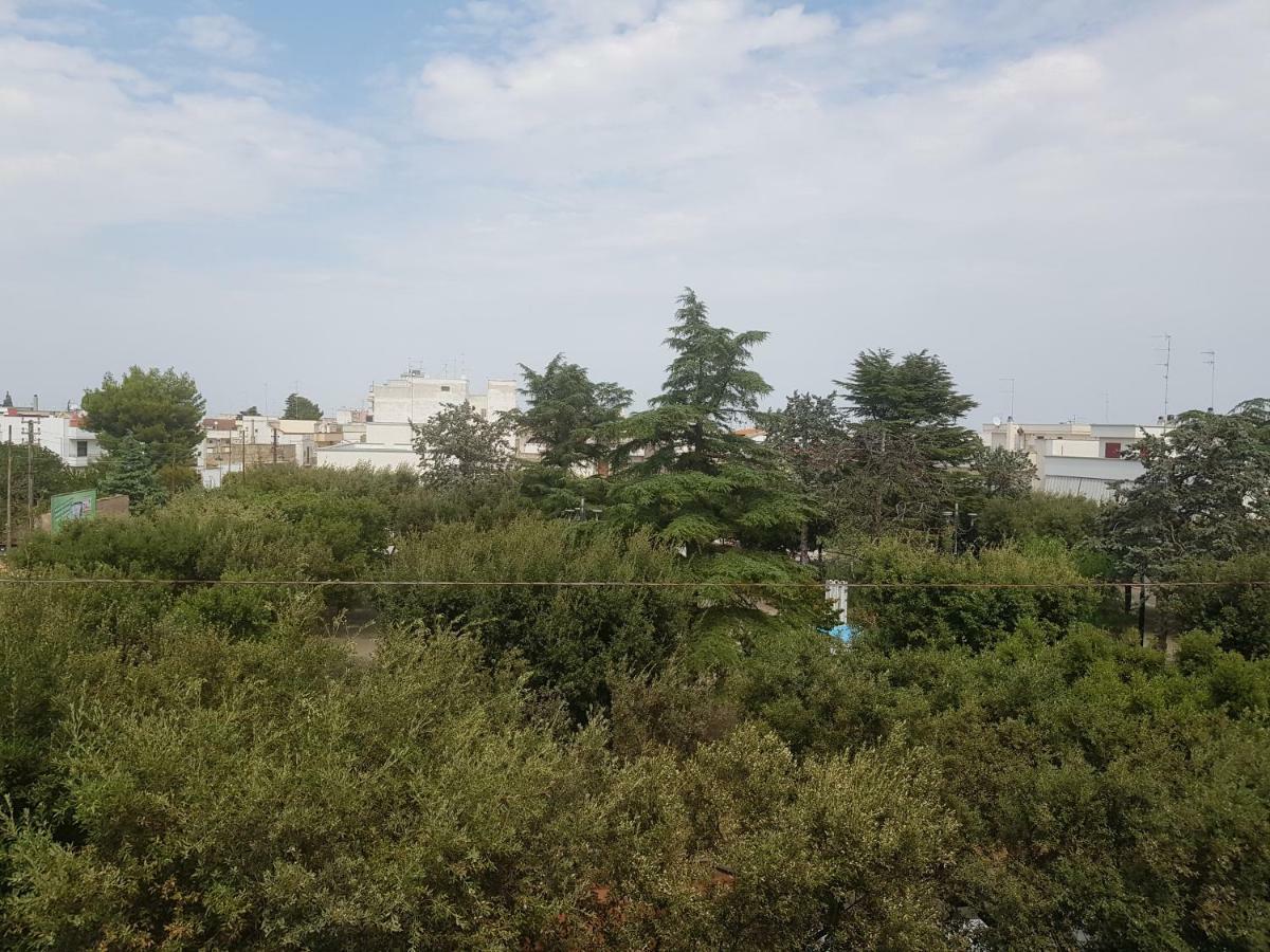 "La Casa Di Mariagrazia" Rooms Con Cucina Condivisa E Terrazza Sammichele Di Bari المظهر الخارجي الصورة
